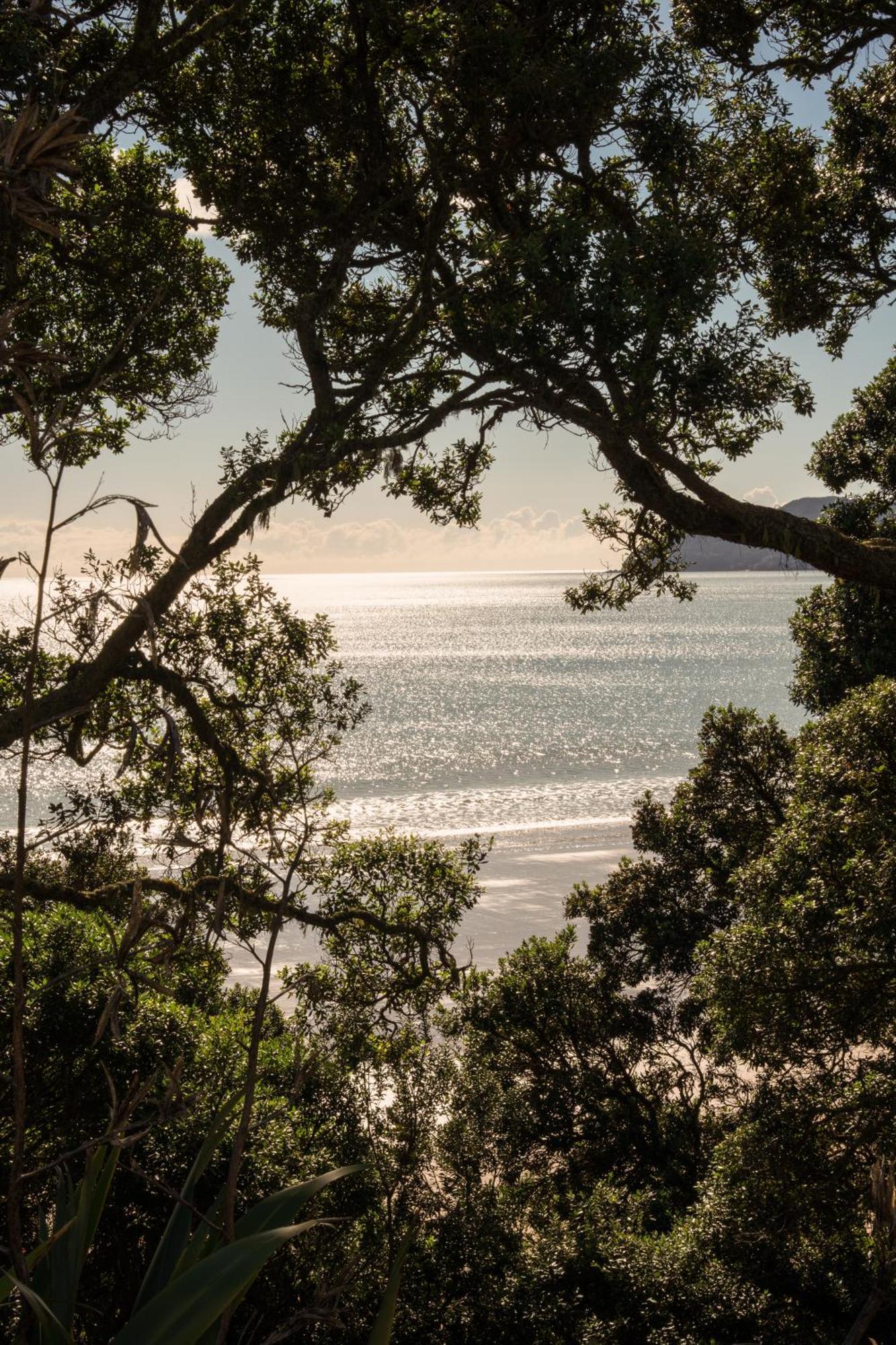 Sunlit Bay Villas Coopers Beach Dış mekan fotoğraf